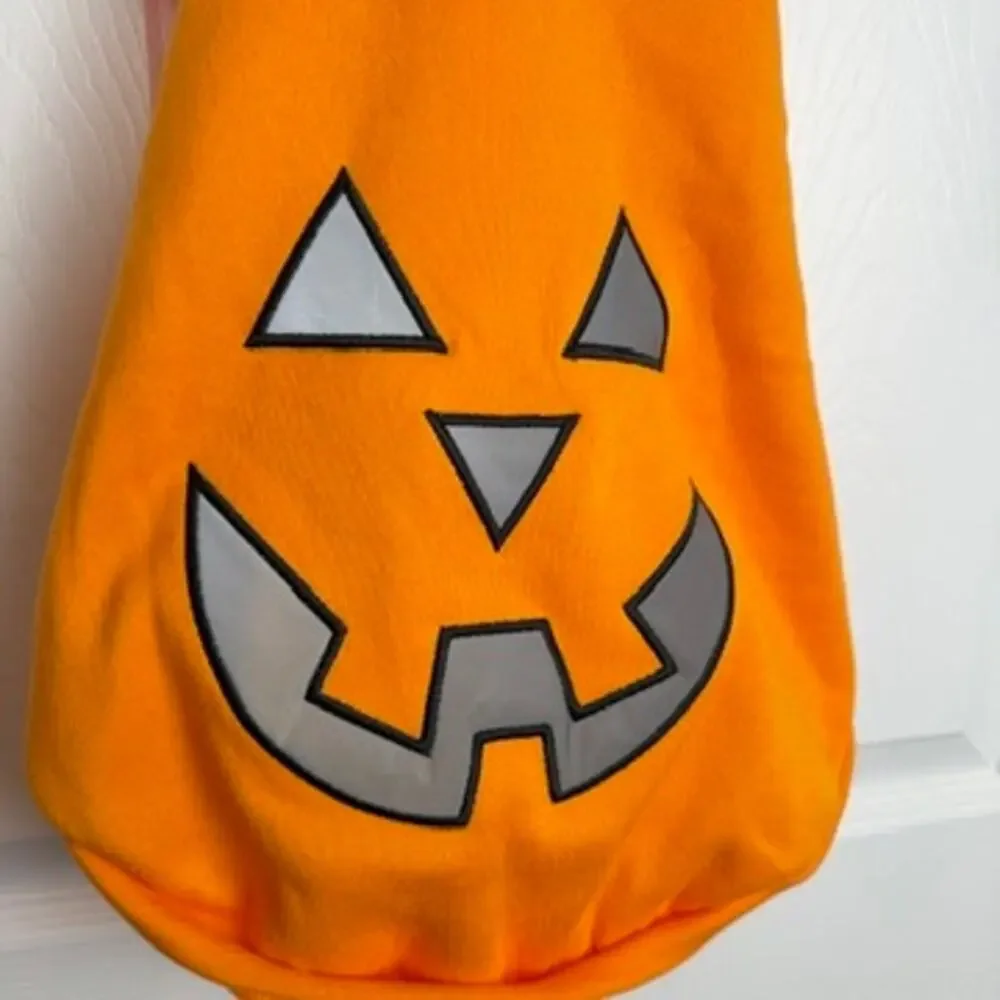 Unbranded pet pumpkin